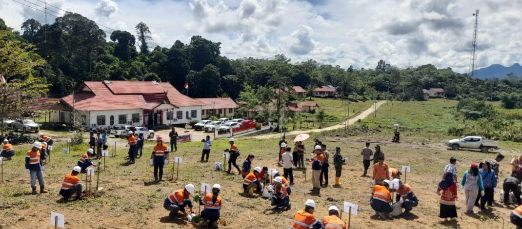 Peringanti Hari Lingkungan Hidup Sedunia, Camat Sungai Babuat Hadiri Acara Rehabilitasi Lahan Kritis dan Penanaman Pohon